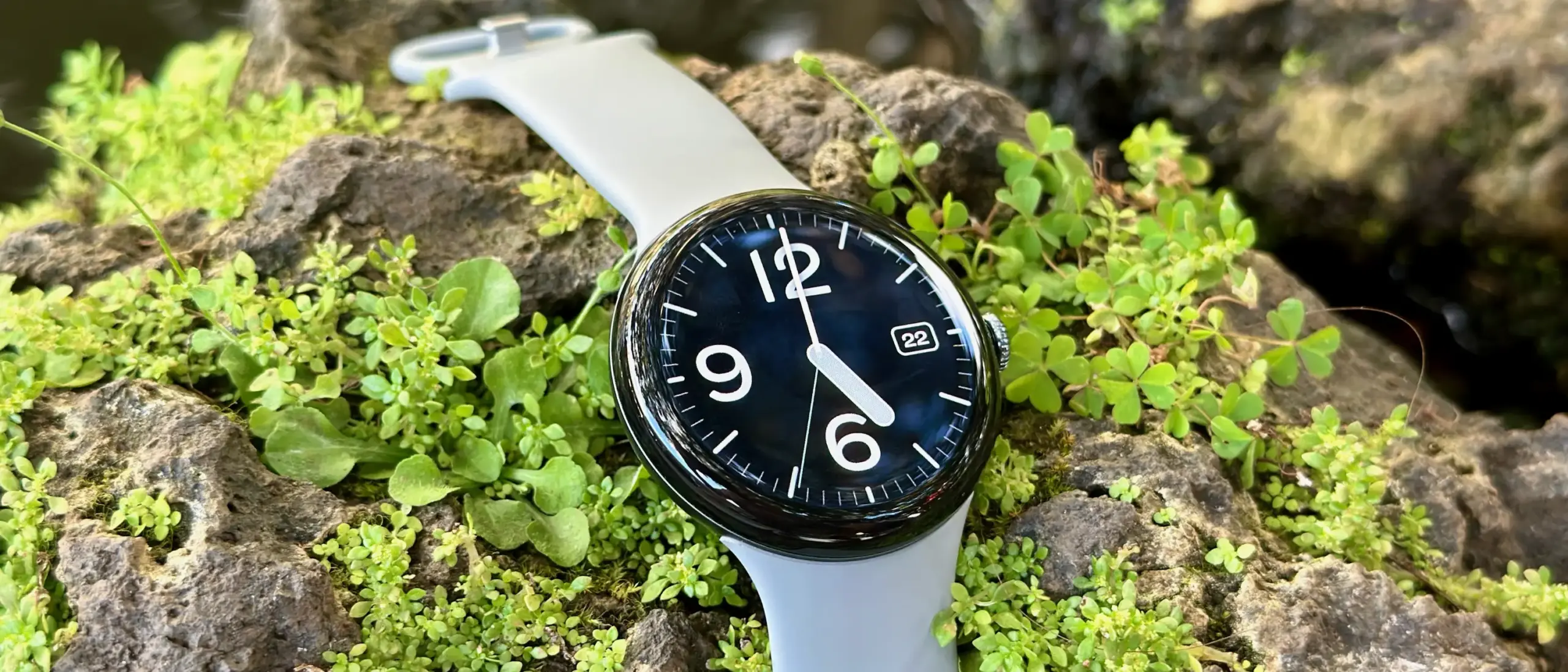 google pixel watch 3